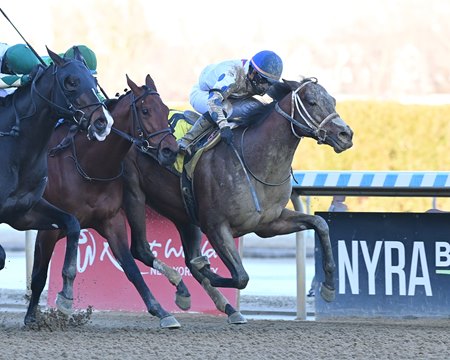 Soontobeking (inside) battles to his first stakes victory in the Gander Stakes at Aqueduct Racetrack