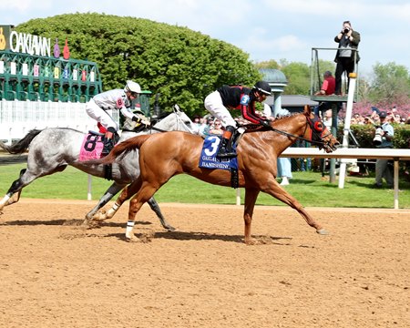 Banishing defeats Saudi Crown in the Oaklawn Mile at Oaklawn Park