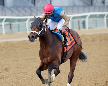 Flood Zone wins the Gotham Stakes at Aqueduct Racetrack