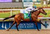 3/22/2025  -  Touchuponastar with jockey Timothy Thornton aboard goes wire to wire to win the $500,000 Grade II New Orleans Classic at Fair Grounds.  Hodges Photography / Lou Hodges, Jr.