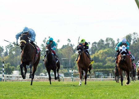 Racing on the turf course at Santa Anita Park
