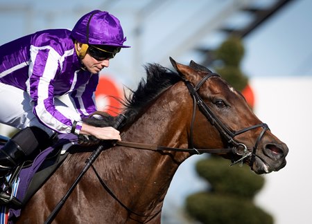Delacroix wins the Ballysax Stakes at Leopardstown