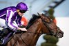 Delacroix and Ryan Moore winners of the Gr.3 P.W. McGrath Memorial Ballysax Stakes.
Leopardstown.
Photo: Patrick McCann/Racing Post
30.03.2025