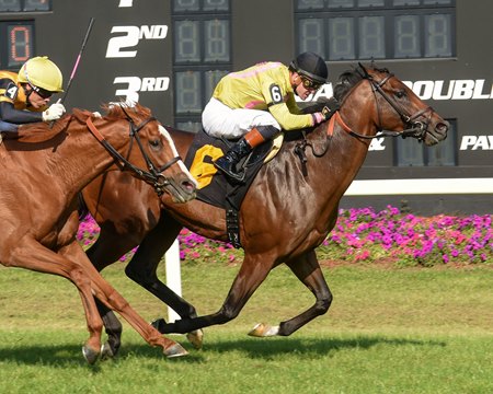 Zulu Kingdom wins the Columbia Stakes, with Reagan's Wit second, at Tampa Bay Downs