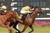 Zulu Kingdom (IRE) wins the 2025 Columbia Stakes at Tampa Bay Downs