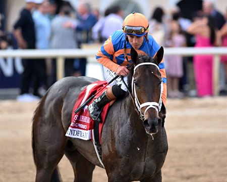 Mindframe wins the Gulfstream Park Mile Stakes at Gulfstream Park
