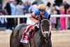 Mindframe wins the 2025 Gulfstream Park Mile Stakes at Gulfstream Park