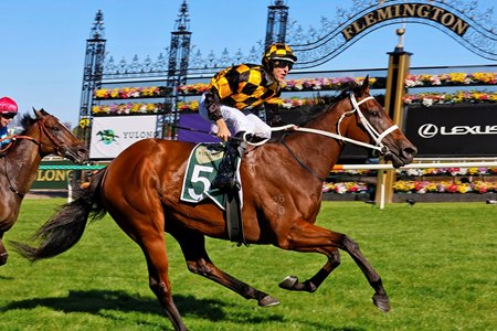 Joliestar wins the Newmarket Handicap at Flemington Racecourse