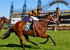 Joliestar wins the 2025 Newmarket Handicap at Flemington Racecourse
ridden by Damien Lane and trained by Chris Waller