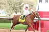 Booth wins the Whitmore Stakes at Oaklawn Park