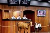 2025 OBS March 2 Year-Olds-in Training Sale, Hip 343