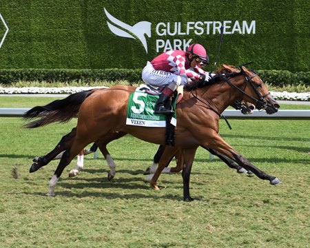 Vixen wins the Herecomesthebride Stakes at Gulfstream Park 