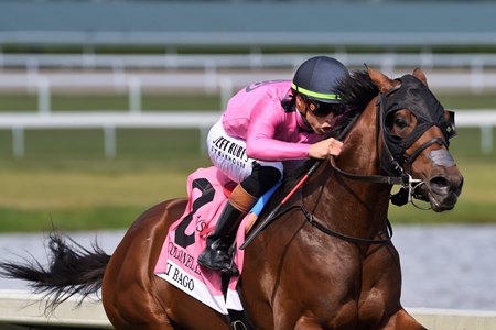 Mi Bago wins the Colonel Liam Stakes at Gulfstream Park