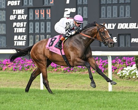 Saffron Moon wins the Hillsborough Stakes at Tampa Bay Downs