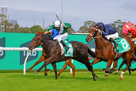 Marhoona wins the 2025 Golden Slipper at Rosehill Gardens Racecourse