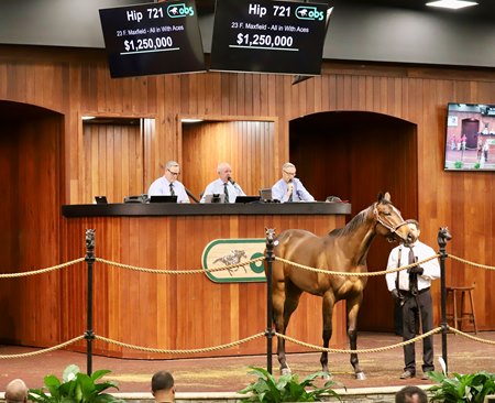 The filly by Maxfield consigned as Hip 721 in the ring at the OBS March Sale