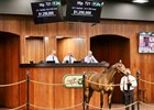 2025 OBS March 2 Year-Olds-in Training Sale, Hip 721