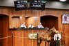 2025 OBS March 2 Year-Olds-in Training Sale, Hip 721