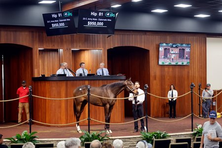 The Army Mule colt consigned as Hip 81 in the ring at the OBS March Sale