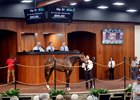 Hip 81, 2025 OBS March 2 Year-Olds-in Training Sale 