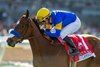 Irish-bred Lady Claypoole and jockey Tiago Pereira win the Grade III $100,000 Santa Ana Stakes Saturday, March 15, 2025, at Santa Anita Park, Arcadia, CA.
Benoit Photo