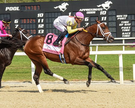 For the third consecutive year, Skippylongstocking wins the Challenger Stakes at Tampa Bay Downs