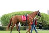 RED ROUTE ONE wins the 2025 Essex Handicap at Oaklawn Park