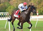 Owen Almighty wins the 2025 Tampa Bay Derby at Tampa Bay Downs
