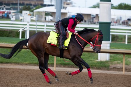 Coal Battle trains April 27 at Churchill Downs