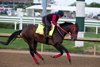 COAL BATTLE  training for Kentucky Derby  at Churchill Downs in  Louisville, KY. April 27, 2025