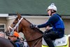 Journalism heads to the track before Saturday’s 151st running of the Kentucky Derby at Churchill Downs Wednesday April. 30, 2025 in Louisville, Kentucky   Photo by Skip Dickstein