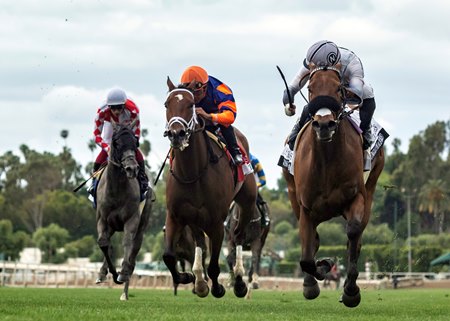Jungle Peace wins the Senorita Stakes at Santa Anita Park