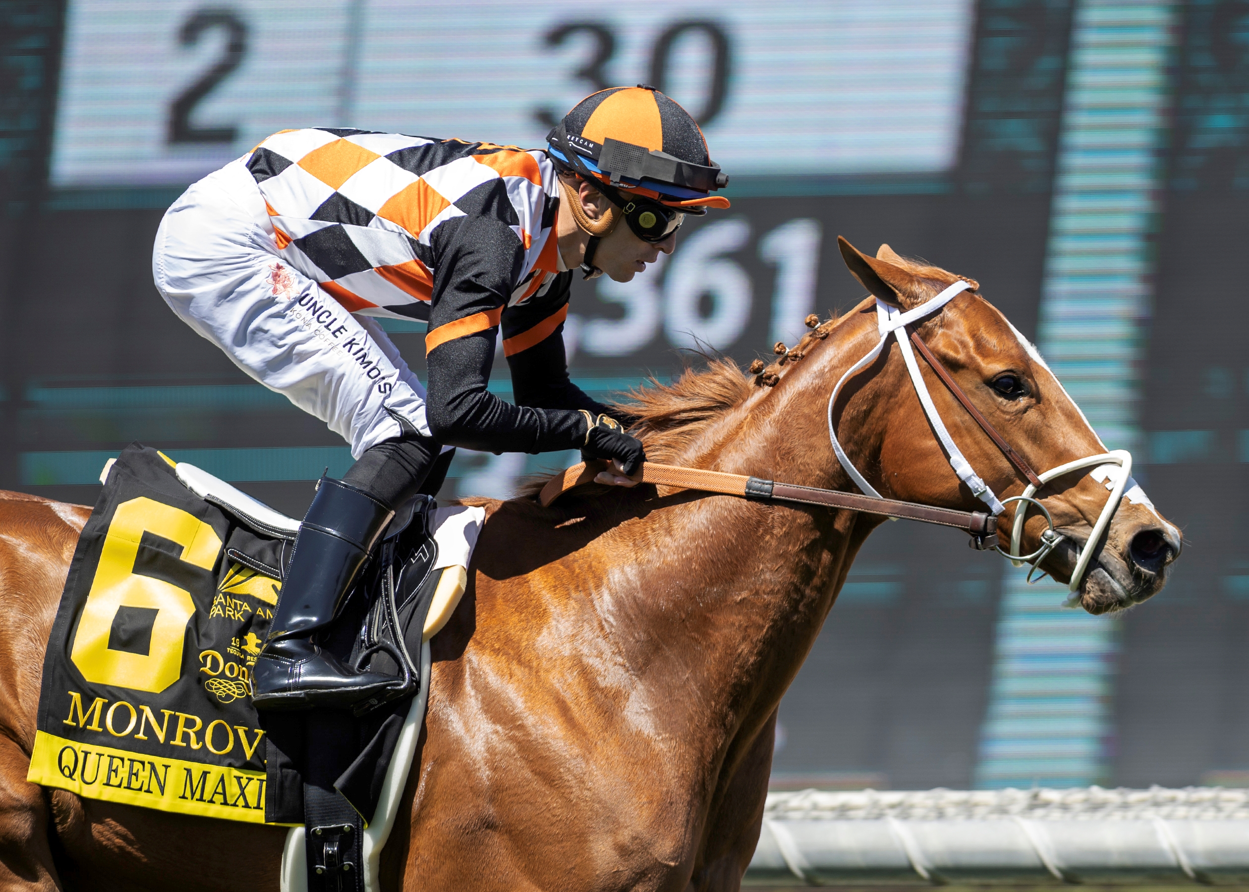 Queen Maxima Faces Japanese Shipper in Sen. Ken Maddy - BloodHorse