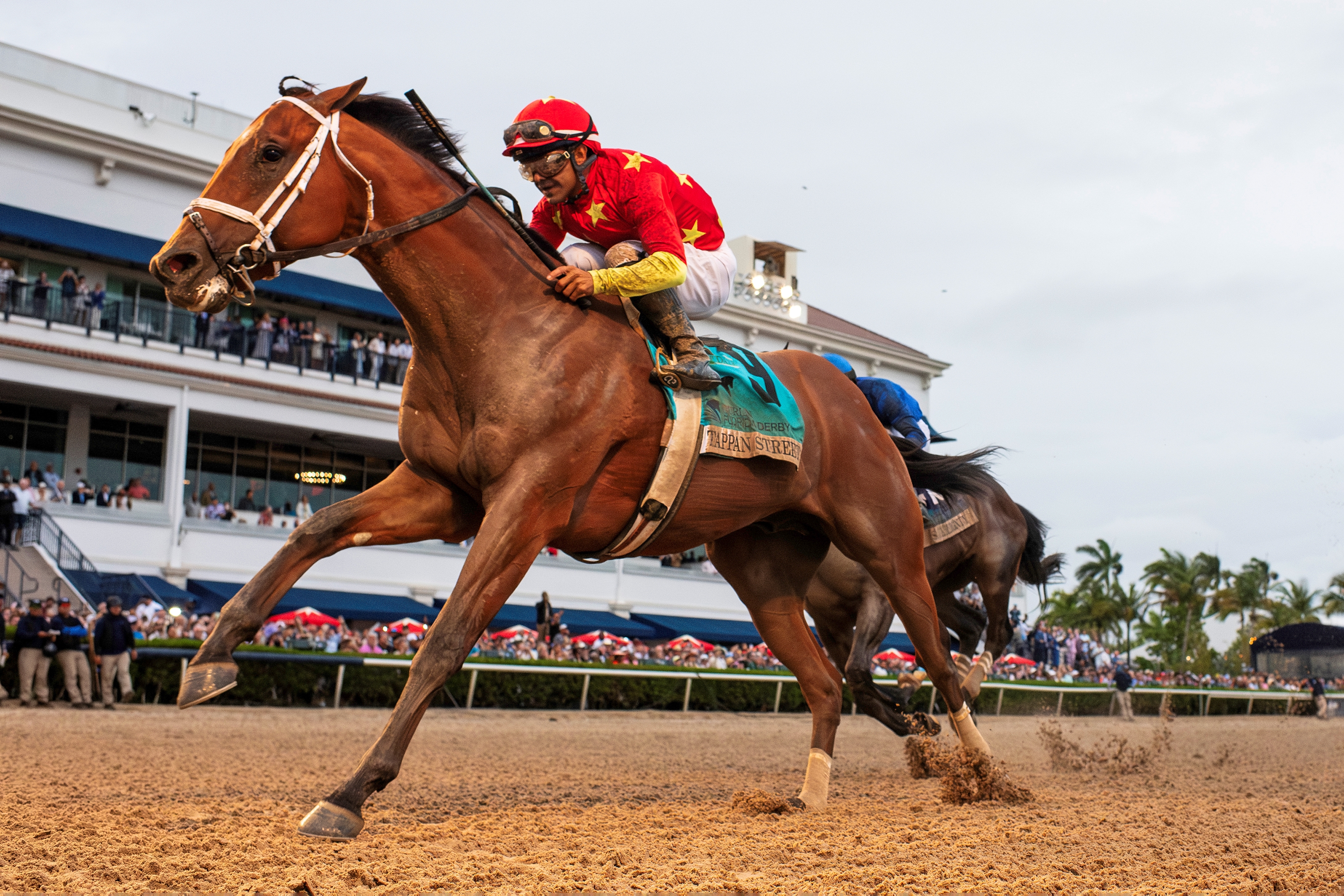 1109641190034e64a362dacdca3132