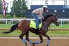 Baeza on the track at Churchill Downs on April 27, 2025. Photo By: Chad B. Harmon