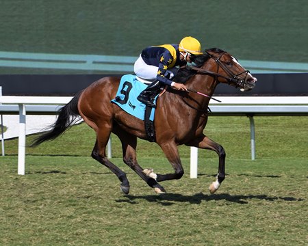 Make Haste wins an allowance optional claiming race at Gulfstream Park