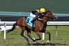 Make Haste, AOC, Gulfstream Park, April 13 2025