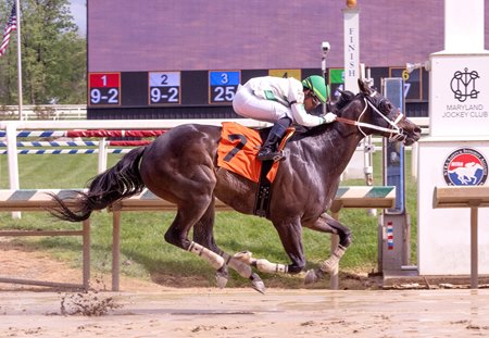 Haileysfirstnotion winning at Laurel Park