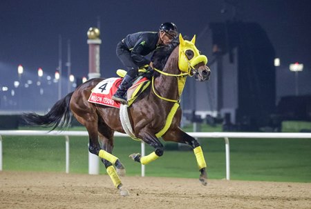Wilson Tesoro trains for the Dubai World Cup at Meydan