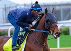 Publisher
Training and feature shoots at Churchill Downs on April 26, 2025.