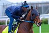 Publisher
Training and feature shoots at Churchill Downs on April 26, 2025.