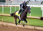  EAST AVENUE prepping for Kentucky Derby at Churchill Downs in  Louisville, KY. April 27, 2025