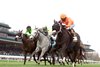 Shisospicy - Limestone Stakes - KEE - 041125