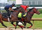 Admire Daytona (Inside) works five furlongs in 1:02.40 with Greatdayforhockey (Outside) at Churchill Downs on April 29, 2025. Photo By: Chad B. Harmon