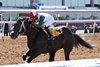 TAKE CHARGE TOM wins the 2025 Mine That Bird Derby at Sunland Park