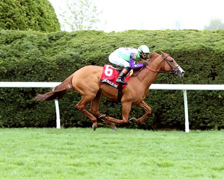 Carl Spackler wins the Mile Stakes at Keeneland 