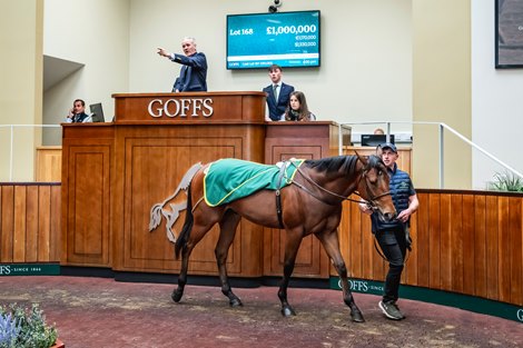 Mehmas Colt Sets Doncaster Breeze Up Sale Record