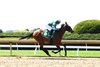 Satisfied Mind, Maiden Win, Keeneland, April 16 2025
