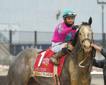Crazy Mason - Horse Profile - BloodHorse