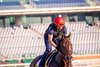 Straight No Chaser, Meydan Racecourse, April 2 2025